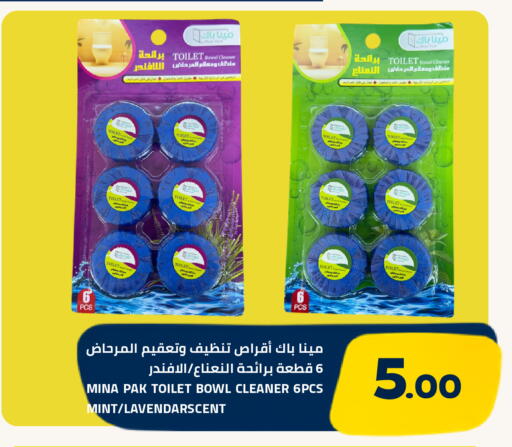 Mint available at Astra Markets in KSA, Saudi Arabia, Saudi - Tabuk