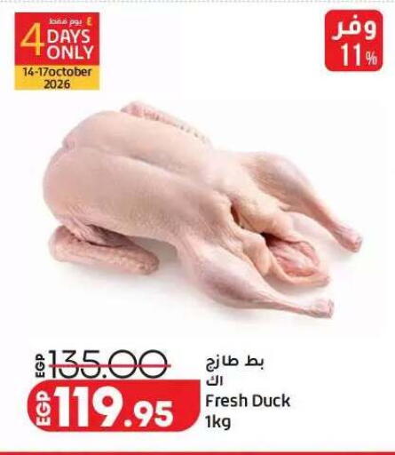 available at Lulu Hypermarket  in Egypt - Cairo