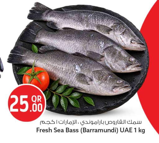 available at سفاري هايبر ماركت in قطر - أم صلال