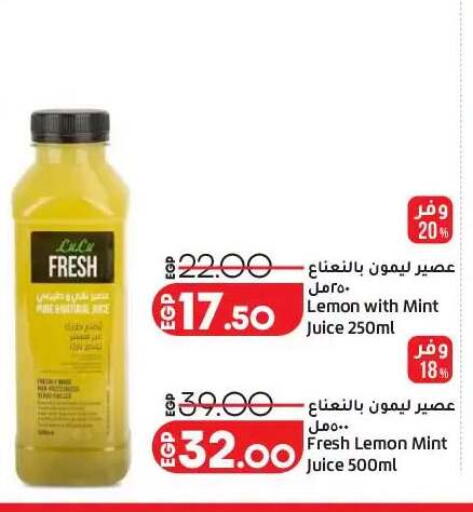 Lemon Mint available at Lulu Hypermarket  in Egypt - Cairo