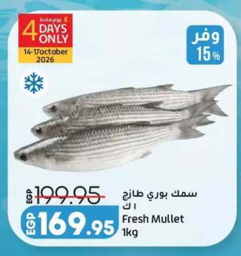 available at Lulu Hypermarket  in Egypt - Cairo