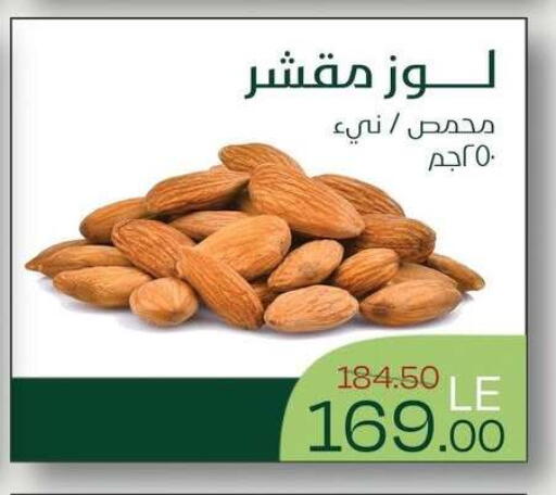 available at Royal House in Egypt - Cairo