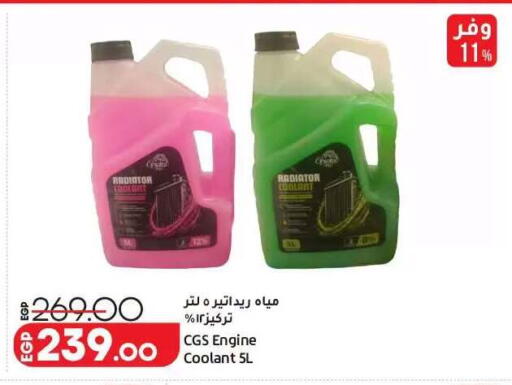 available at لولو هايبرماركت in Egypt - القاهرة