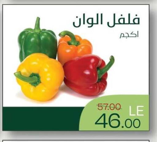 available at رويال هاوس in Egypt - القاهرة