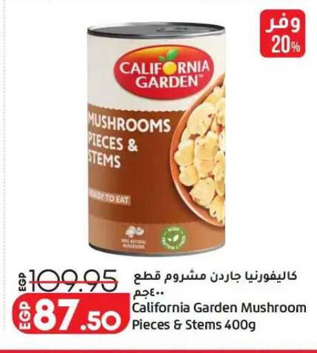 Mushroom available at Lulu Hypermarket  in Egypt - Cairo