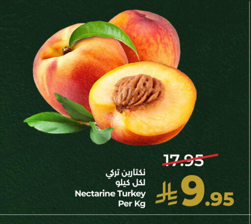 Nectarine من Turkey متوفر لدى لولو هايبرماركت في مملكة العربية السعودية, السعودية, سعودية - الجبيل‎
