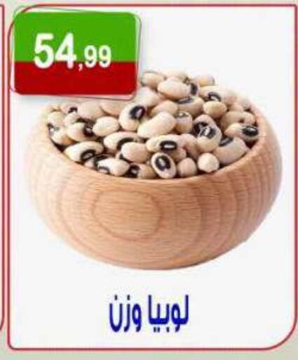 available at Hyper Eagle in Egypt - Cairo