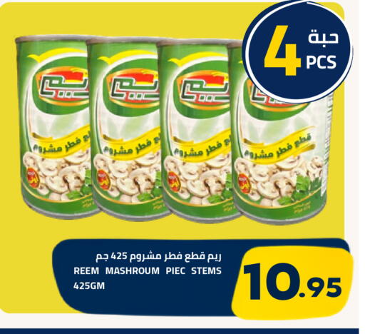 متوفر لدى أسواق أسترا في مملكة العربية السعودية, السعودية, سعودية - تبوك
