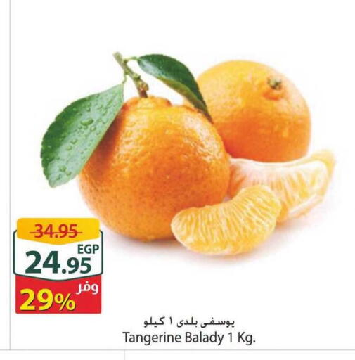 available at Spinneys  in Egypt - Cairo