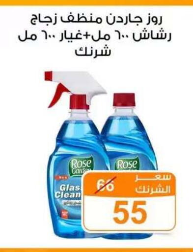 available at Gomla Market in Egypt - Cairo