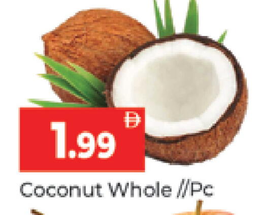 Coconut متوفر لدى المدينة في الإمارات العربية المتحدة , الامارات - دبي