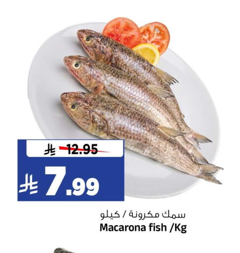 متوفر لدى المدينة هايبرماركت في مملكة العربية السعودية, السعودية, سعودية - الرياض