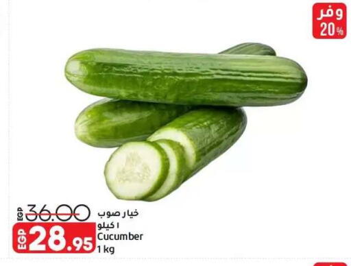 Cucumber available at Lulu Hypermarket  in Egypt - Cairo