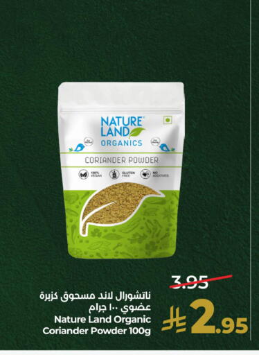 Coriander متوفر لدى لولو هايبرماركت في مملكة العربية السعودية, السعودية, سعودية - سيهات