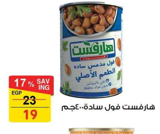 available at فتح الله in Egypt - القاهرة