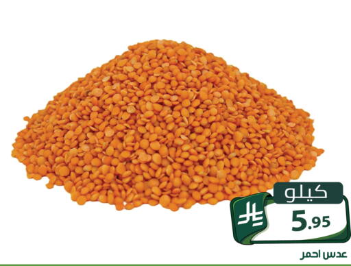 available at Family Discount in KSA, Saudi Arabia, Saudi - Riyadh