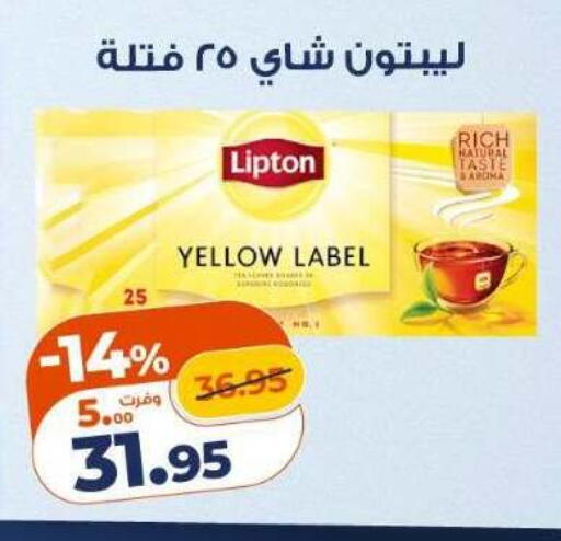 available at كازيون in Egypt - القاهرة
