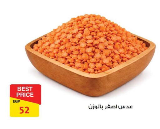 available at فتح الله in Egypt - القاهرة