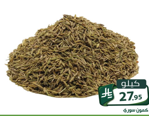 متوفر لدى تخفيضات العائلة في مملكة العربية السعودية, السعودية, سعودية - الرياض
