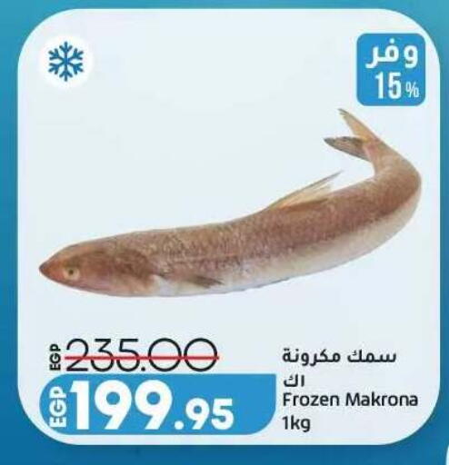 available at Lulu Hypermarket  in Egypt - Cairo