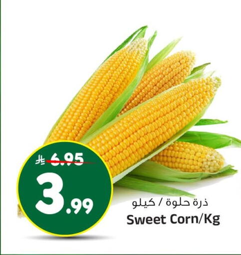 متوفر لدى المدينة هايبرماركت في مملكة العربية السعودية, السعودية, سعودية - الرياض