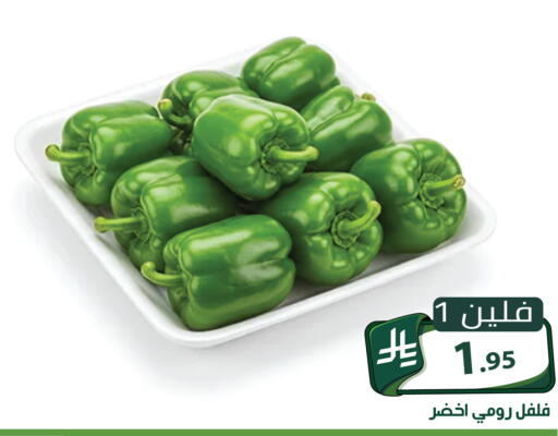 متوفر لدى تخفيضات العائلة في مملكة العربية السعودية, السعودية, سعودية - الرياض