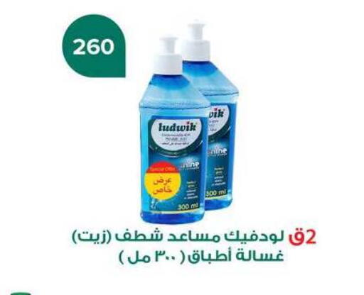 available at Fathalla Market  in Egypt - Cairo