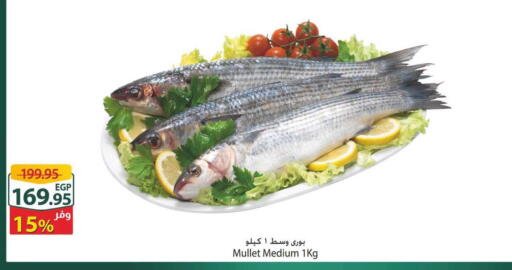 available at Spinneys  in Egypt - Cairo