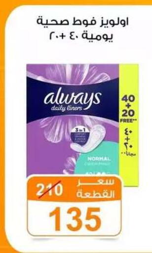 available at Gomla Market in Egypt - Cairo