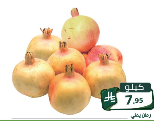 متوفر لدى تخفيضات العائلة في مملكة العربية السعودية, السعودية, سعودية - الرياض
