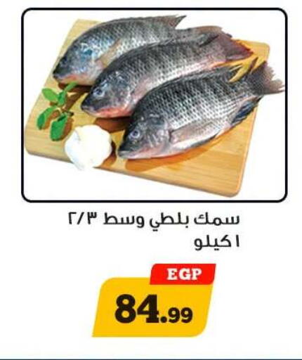 available at أولاد رجب in Egypt - القاهرة