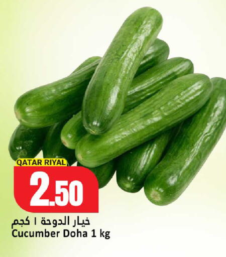 Cucumber from Qatar available at Dana Hypermarket in Qatar - Al Khor