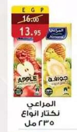 Apple available at Al Rayah Market   in Egypt - Cairo