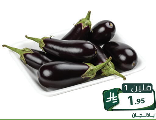 متوفر لدى تخفيضات العائلة في مملكة العربية السعودية, السعودية, سعودية - الرياض