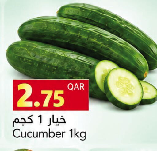 Cucumber available at جلف فود سنتر in قطر - الشمال