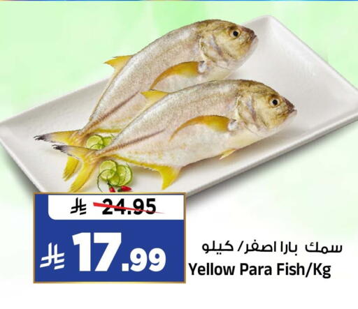 متوفر لدى المدينة هايبرماركت في مملكة العربية السعودية, السعودية, سعودية - الرياض