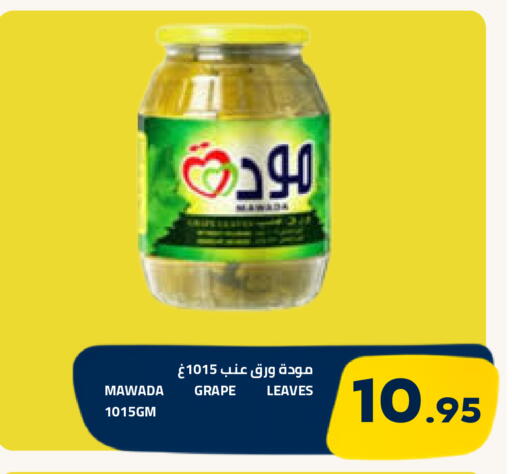 متوفر لدى أسواق أسترا في مملكة العربية السعودية, السعودية, سعودية - تبوك