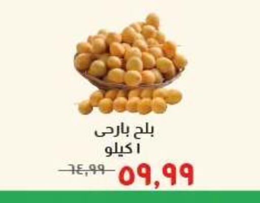 متوفر لدى خير زمان في Egypt - القاهرة
