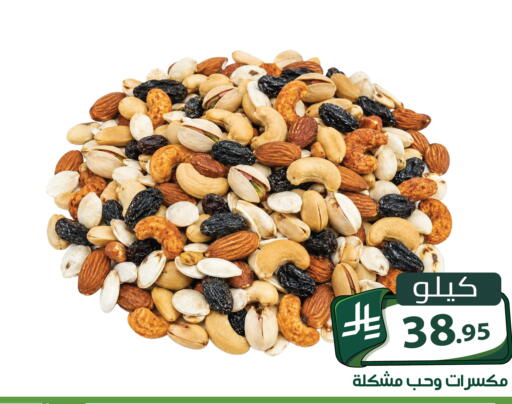 متوفر لدى تخفيضات العائلة في مملكة العربية السعودية, السعودية, سعودية - الرياض