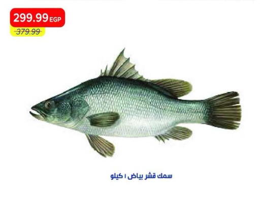 available at Metro Market  in Egypt - Cairo
