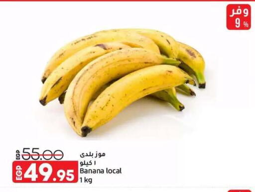 Banana available at Lulu Hypermarket  in Egypt - Cairo