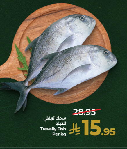 available at لولو هايبرماركت in مملكة العربية السعودية, السعودية, سعودية - جدة