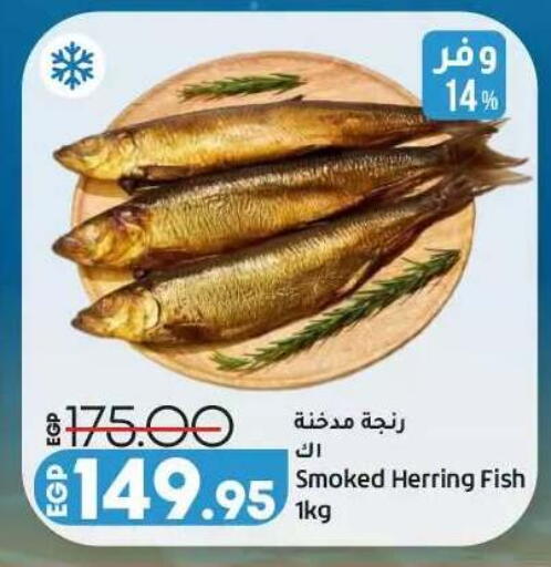 available at Lulu Hypermarket  in Egypt - Cairo