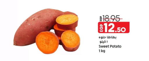 Sweet Potato available at Lulu Hypermarket  in Egypt - Cairo