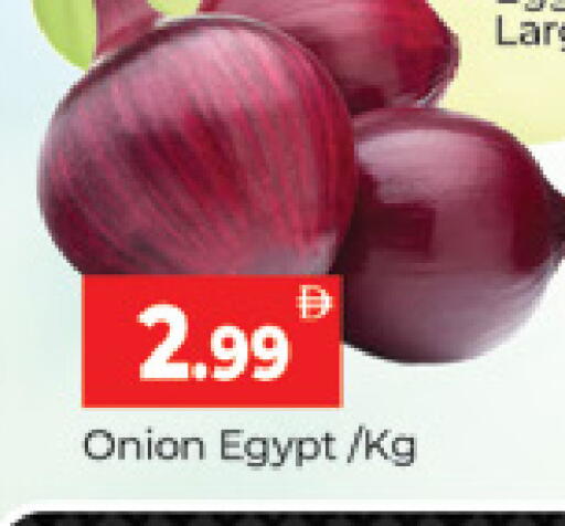 Onion من Egypt متوفر لدى المدينة في الإمارات العربية المتحدة , الامارات - دبي