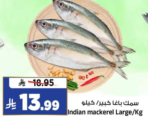 متوفر لدى المدينة هايبرماركت في مملكة العربية السعودية, السعودية, سعودية - الرياض