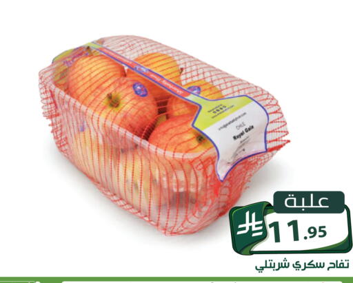 متوفر لدى تخفيضات العائلة في مملكة العربية السعودية, السعودية, سعودية - الرياض