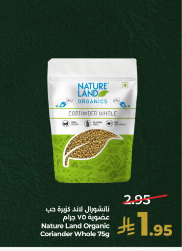 Coriander متوفر لدى لولو هايبرماركت في مملكة العربية السعودية, السعودية, سعودية - سيهات
