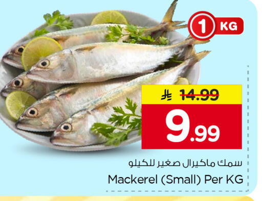 متوفر لدى نستو في مملكة العربية السعودية, السعودية, سعودية - الجبيل‎