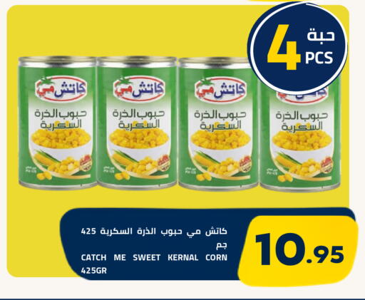 متوفر لدى أسواق أسترا في مملكة العربية السعودية, السعودية, سعودية - تبوك